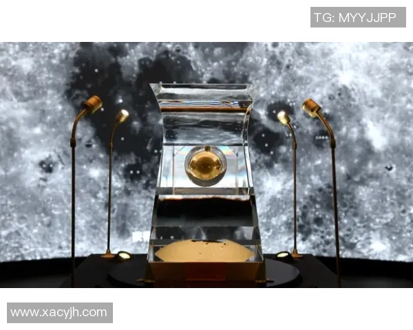 五年时间见证奇迹 维尼修斯数据全面飞跃与突破