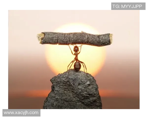 外援雨中坚持苦练展拼搏精神 不畏风雨勇敢追梦