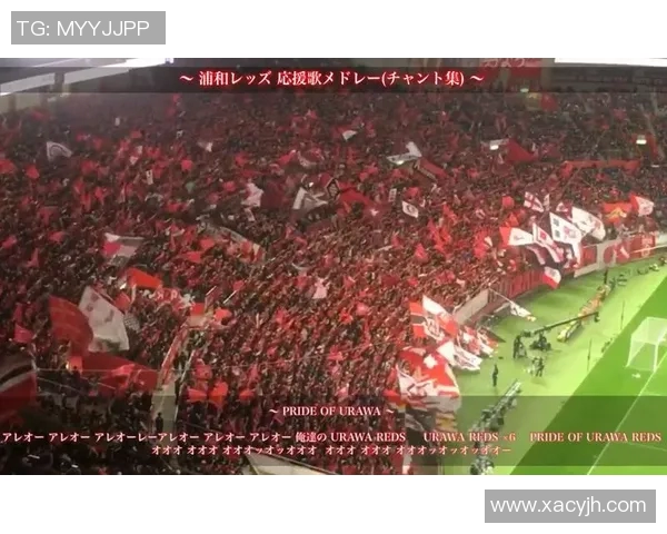 球迷文化演变史