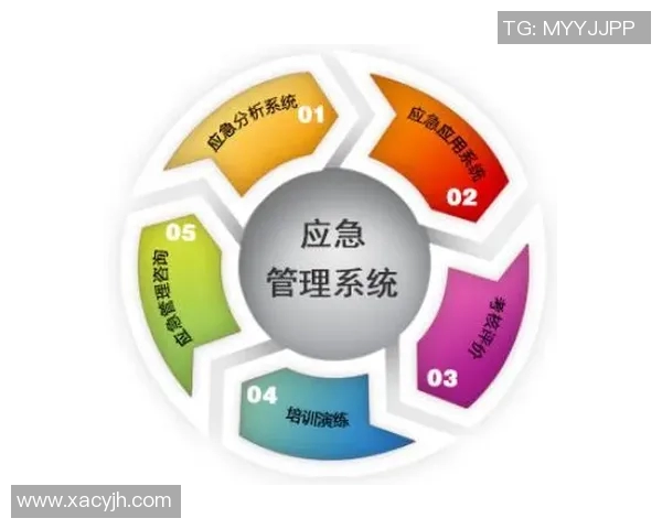 欧洲杯赛事安全保障措施及应急预案